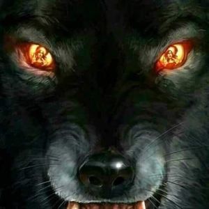 Meet your Posher, Stephen